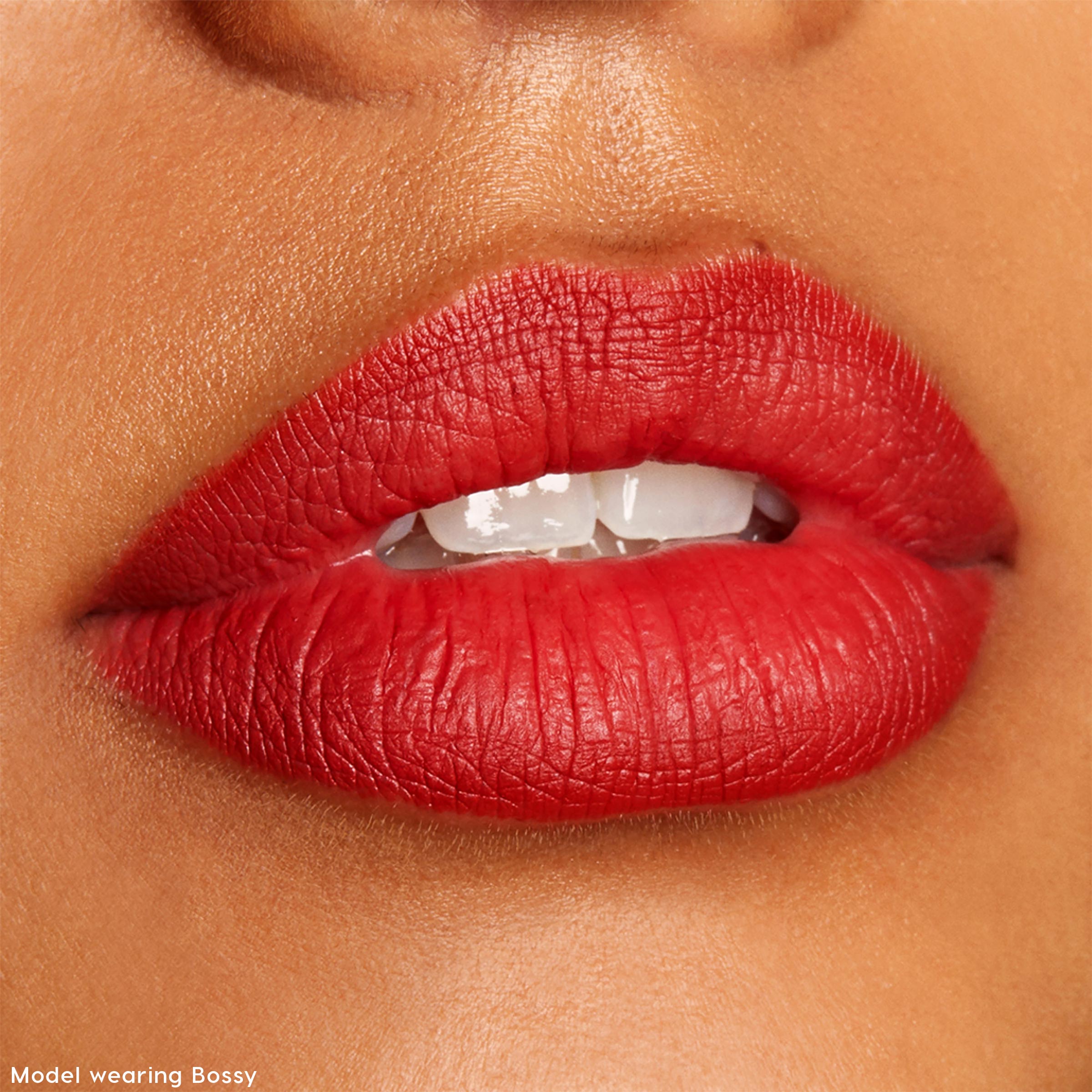 Lippie Pencil Vault - Image 5