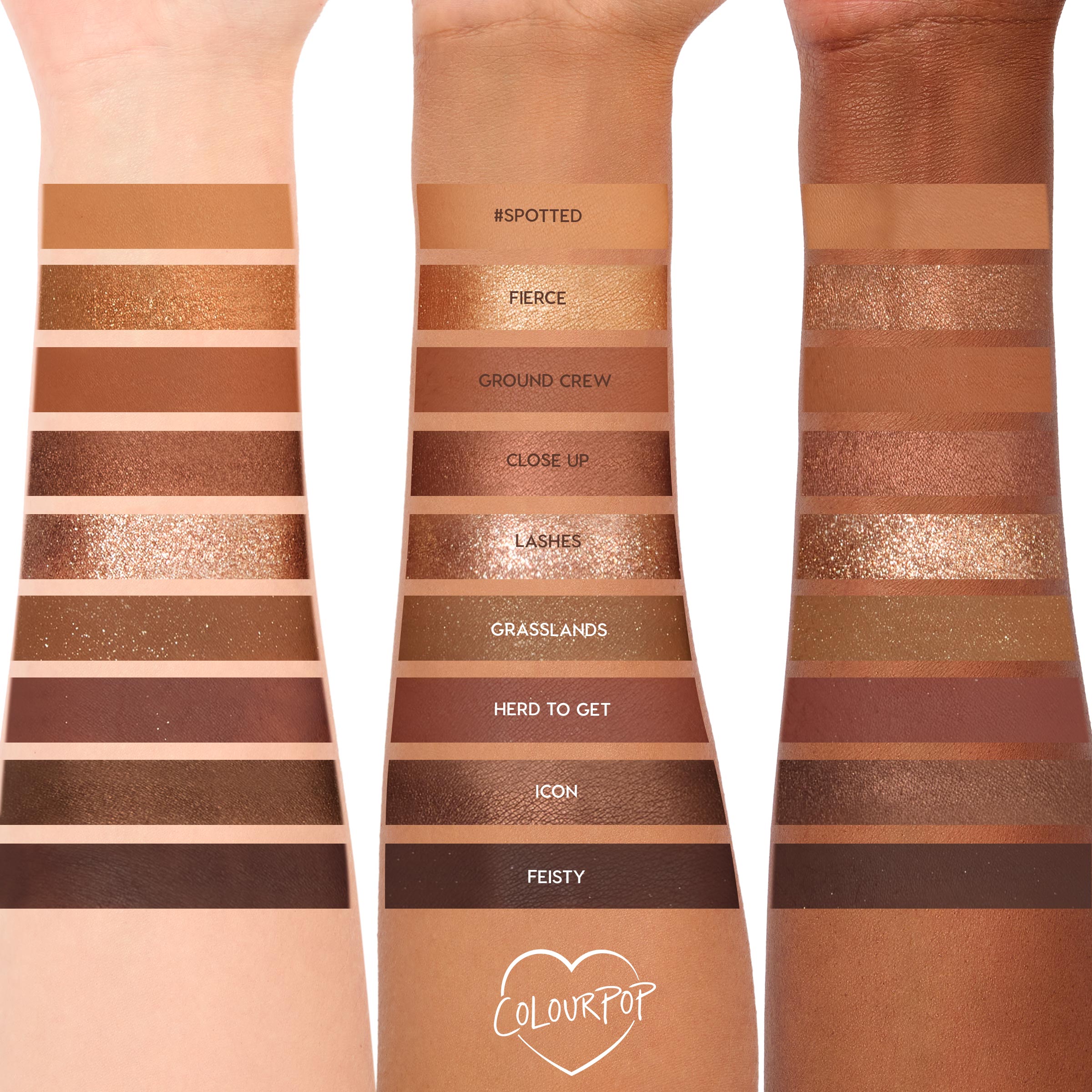 9-Pan Palette - Image 5